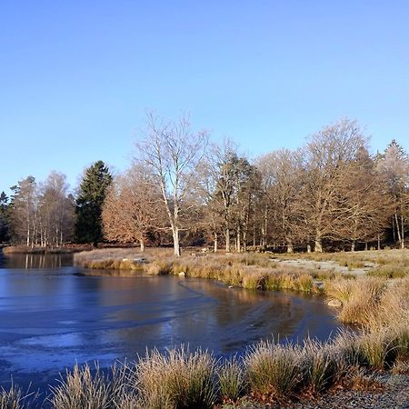 Damwildfarm In Rollerbue Suedschweden Villa Tyringe Kültér fotó