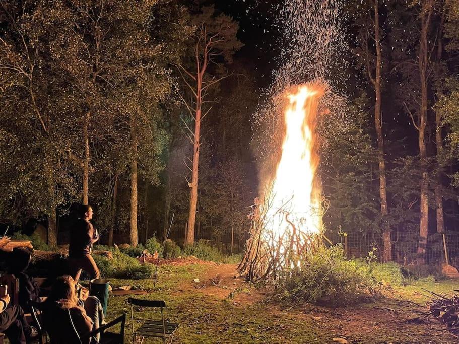 Damwildfarm In Rollerbue Suedschweden Villa Tyringe Kültér fotó