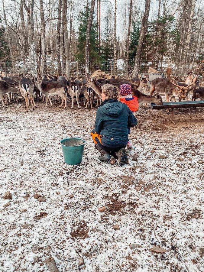 Damwildfarm In Rollerbue Suedschweden Villa Tyringe Kültér fotó