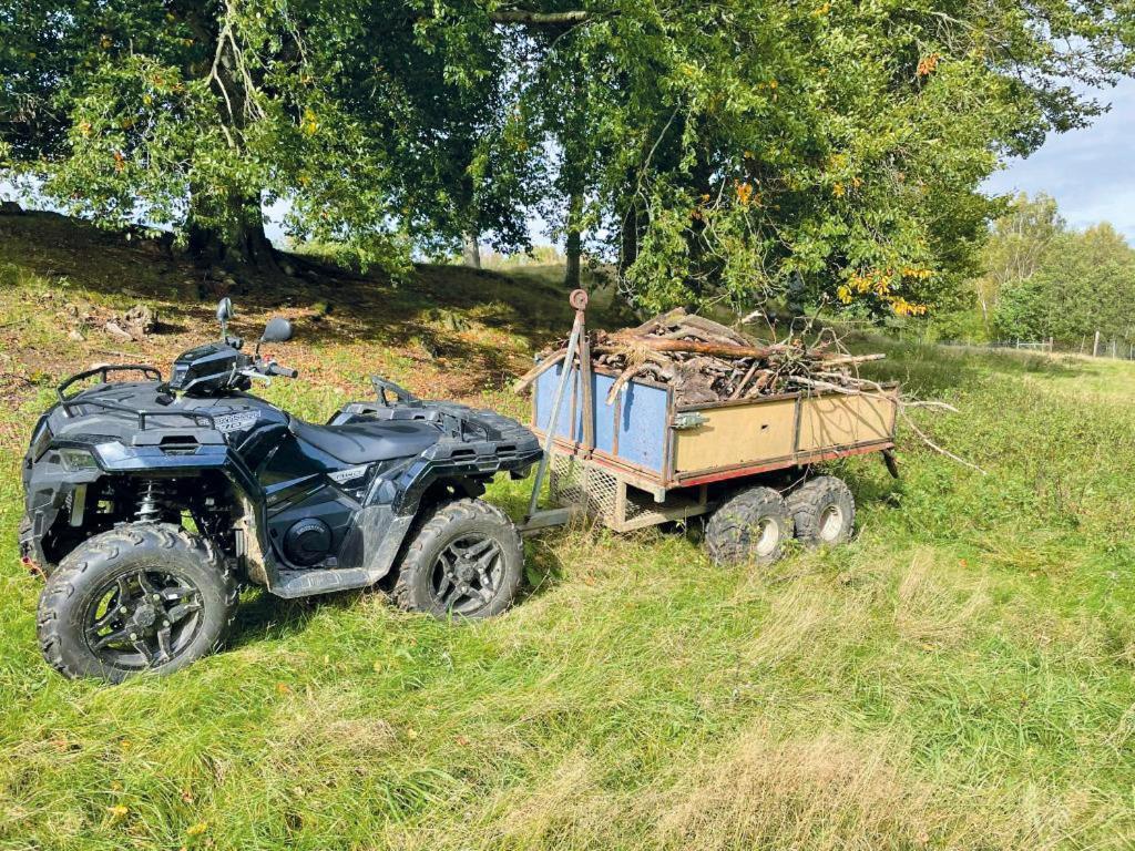 Damwildfarm In Rollerbue Suedschweden Villa Tyringe Kültér fotó