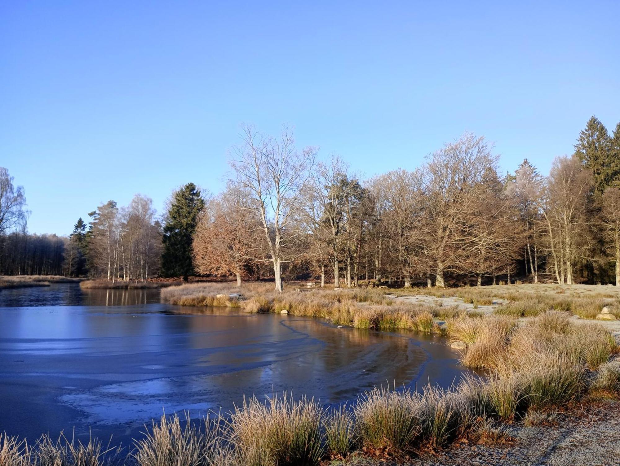Damwildfarm In Rollerbue Suedschweden Villa Tyringe Kültér fotó